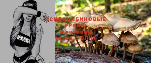 ALPHA PVP Белокуриха