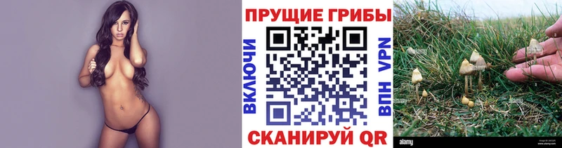 Галлюциногенные грибы прущие грибы  купить закладку  Ейск 