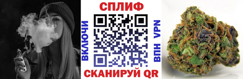магазин  наркотиков  Ейск  Шишки марихуана White Widow 